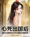 心死出国后,前女友抛弃白月光跪求我原谅