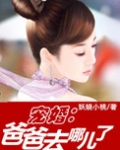 宠婚：爸爸去哪儿了