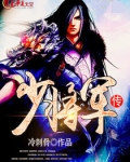 少将军传