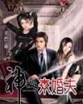 神级未婚夫