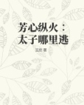 芳心纵火∶太子哪里逃