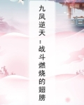 九凤逆天:战斗燃烧的翅膀