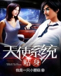 贴身天使系统