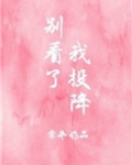 别看了我投降