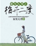重生九零之梅开二度