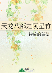 天龙八部之阮星竹