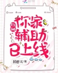 衍神，你家辅助已上线！
