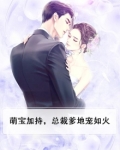 萌宝加持，总裁爹地宠如火