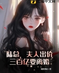 陆总，夫人出价三百亿要离婚
