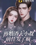 再婚渣夫小叔，前任发了疯