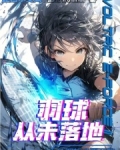 羽球：从解析之眼开始