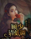 盛世宠婚：顾少请低调