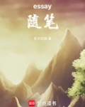 essay随笔