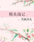 精炎战记