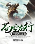 苍空龙行