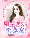 限量老公,至尊宠!