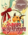 精灵宝可梦all小智