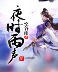 夜时雨声