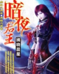 暗夜君王