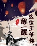 这个王爷醒一醒