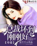 夺爱，总裁坏到刚刚好