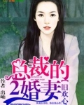 再婚蜜爱，总裁大叔咱别闹