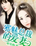 邪魅总裁的爱妻