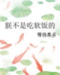 朕不是吃软饭的