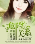 危险关系,魅影首席的出逃妻