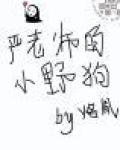 严老师的小野狗