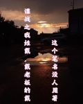 谍战之我姓戴，戴老板的戴