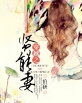 穿越之贤能妻