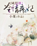 凤囚凰：冷情弃妃