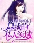 总裁的私人领域