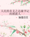 人民的名义之达康书记的摆渡人
