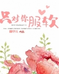 只对你服软