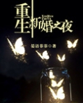 重生新婚之夜