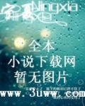 斩风
