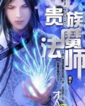 贵族魔法师