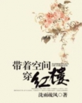 带着空间穿红楼