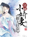 小娇妻撩夫日常(穿越)