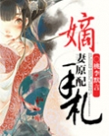 嫡妻原配手札